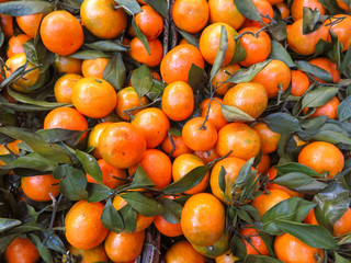 Background of mandarins