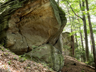 Fototapeta na wymiar Skałki piaskowca spotykane w górskich lasach