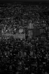 Tokyo skyline black and white night version