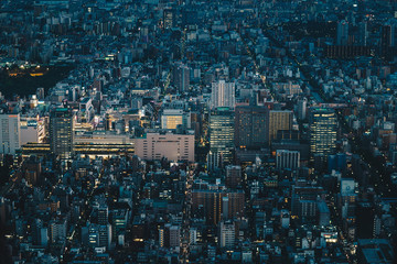Tokyo city skyline at night as seen from above. Aerial photography of Tokyo, the capital city of Japan