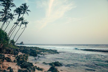beautiful seascape in Sri Lanka