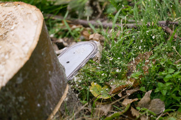 cutting wood with chainsaw