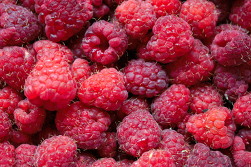 Closeup of raspberries for background/texture