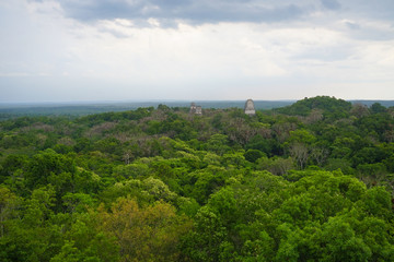 A pyramid in Tikal area with ruins from the Mayan era in Guatemala.