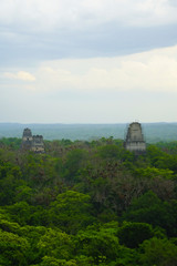 A pyramid in Tikal area with ruins from the Mayan era in Guatemala.