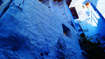Blue city, Jodhpur, Rajasthan, India. Blue houses, background. Bright blue streets and walls....