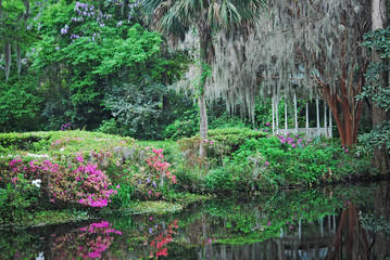 The gazebo and brightly colored pink flowers line the pond at the Magnolia Plantation and Gardens...