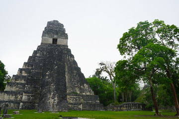 A pyramid in Tikal area with ruins from the Mayan era in Guatemala.
