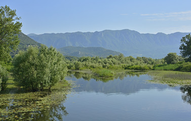 Naklejka premium An inlet of Skadarsko Jezero or Skadar Lake by the small town of Virpazar in Montenegro 