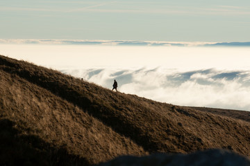 Wanderer in den Bergen