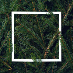 Frame of Christmas tree branches