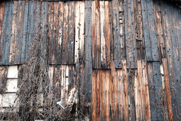 The Old wood wall texture background