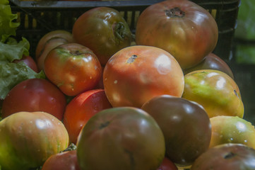 Tomatoes in a market