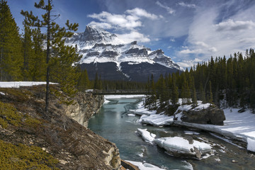 Saskatchewan River Bridge Landscape and Distant Snowy Mountain Murchison near Icefields Parkway between Banff and Jasper National Park Rocky Mountains Alberta Canada