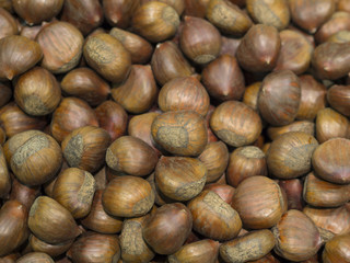 close up edible raw chestnut background