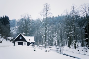 Fototapeta na wymiar Challet in snowy mountains country, foggy winter day, Czech republic