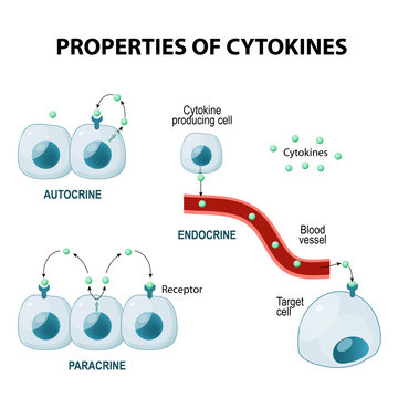 properties of cytokines