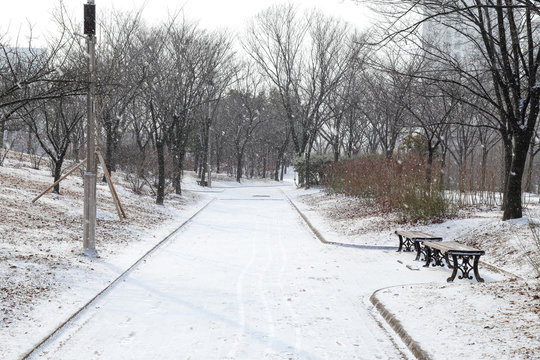 snowy park