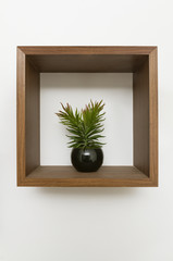 wooden wall shelf with plant pot inside