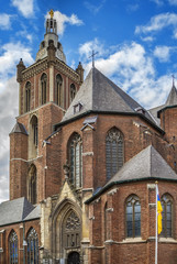Fototapeta na wymiar St. Christopher's Cathedral, Roermond, Netherlands