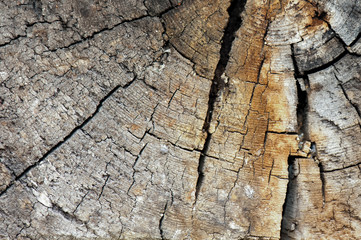  Front view of dark grey  old timber texture or background. Copy space. Place for text. graphical resource