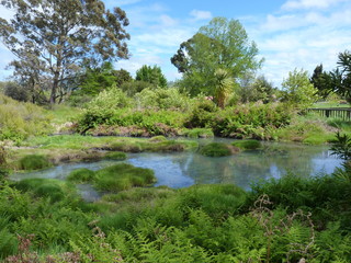 geotermal area park in Rotorua, New Zealand