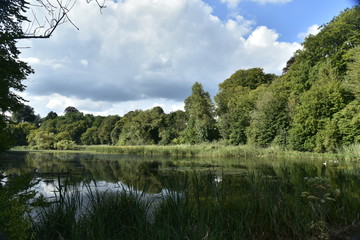 Le grand étang de Lange Gracht en pleine végétation sauvage vers la fin de la journée à Auderghem 