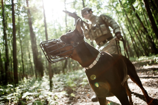 Photo of military man with dog