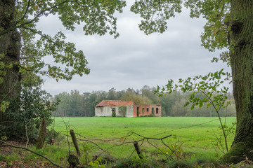 derelict ruin of farm in meadow in Houthalen, Belgium