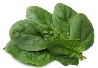 spinach leaves isolate on white background top view