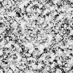 Black and White Marble Texture