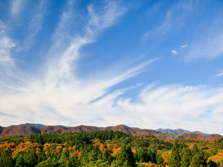 秋の森と青空