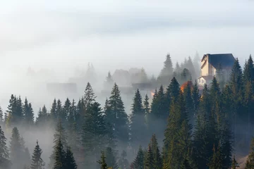 Fotobehang Mistig bos Herfst Karpaten dorp, Oekraïne.
