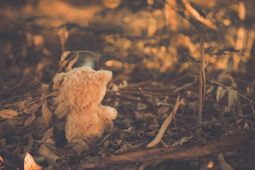 Alone teddy bear out door vintage dark tone style
