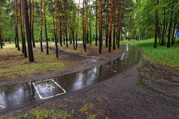 bike path in the Park