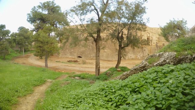 trees and grass grown  in the deep moat of the ancient fortress of Famagusta with high walls