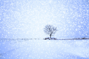 Fototapeta premium vintage winter landscape background with snow
