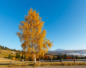 Autumn Carpathian village, Ukraine.