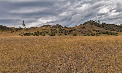 field of dry yellow grass and mountains