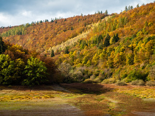 German Autumn forest at the Edersee in vibrant colors