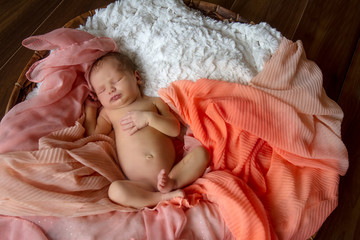 indoor portrait of newborn baby wrapped, newborn photography