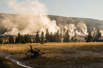 Fototapeta na wymiar Yellowstone valley