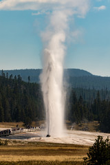 Beehive geyser