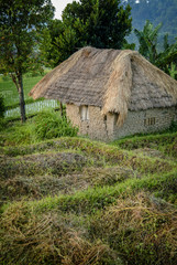 Fototapeta na wymiar Balinese Handmade Mud Home in the Sidemen Valley Rice Fields. 