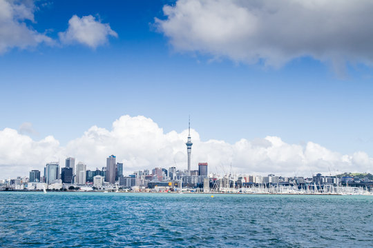 view of Auckland CBD, city center, with sky tower from under the bridge, new zealand