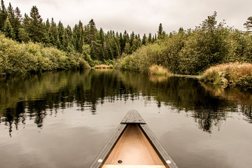 Canoe Nose Calm Peaceful Quite Lake Algonquin Park, Ontario Canada Tree Reflection Shoreline Pine...