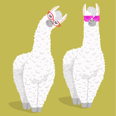 set of cute cartoon lama alpaca in trendy glasses. Vector Illustration. unique design for cards, posters, t-shirts, invitations, patch and stickers © dromp
