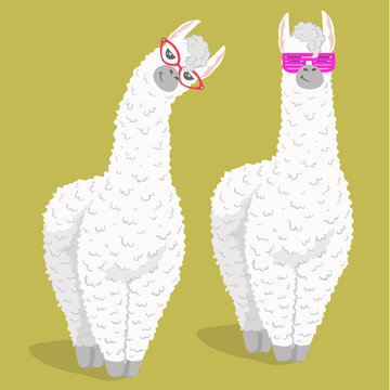 set of cute cartoon lama alpaca in trendy glasses. Vector Illustration. unique design for cards, posters, t-shirts, invitations, patch and stickers