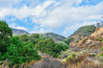 Fototapeta na wymiar Heavy chaparral line hiking trail in California mountains