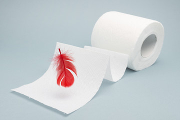 A photo of red feather and a tiolet paper roll. Hemorrhoids, constipation treatment health...